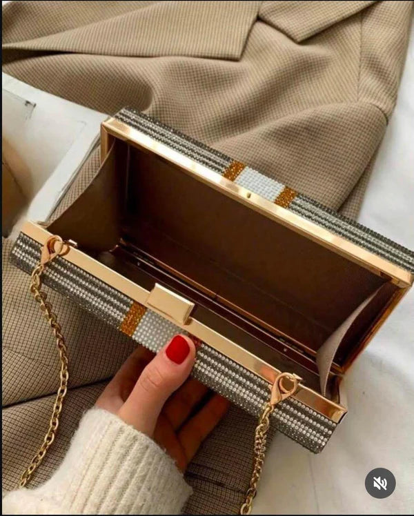 Rich Girl Dollar Clutch Silver – Nayab Khatoon